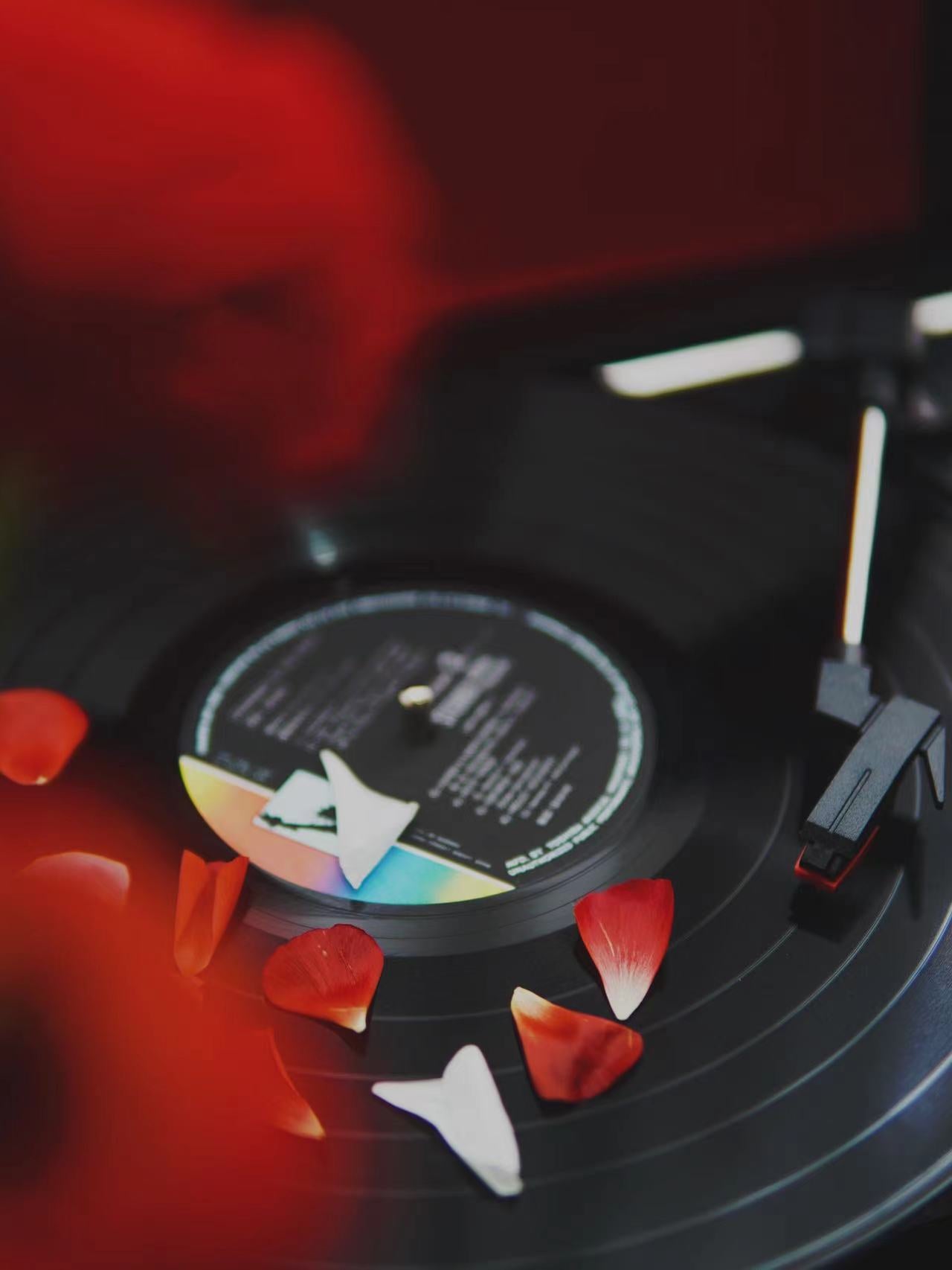 Curiosity III Suitcase Bluetooth Turntable - Black Red